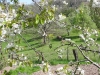 01fleurs