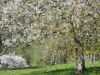 03fleurs